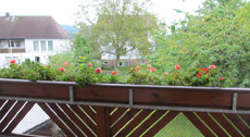 Fewo Abtsteinach