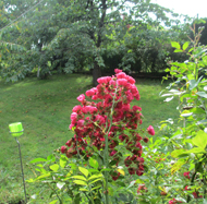 Ferienwohnung Odenwald